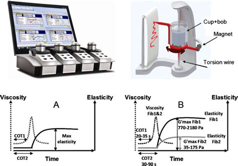 rheometer torsion test|rheometry pdf.